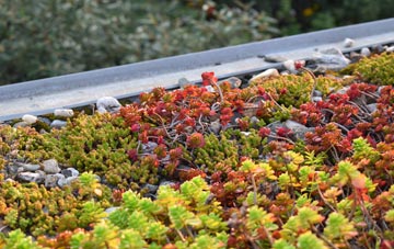 the cost of Symondsbury green roof installation