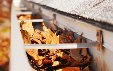 Symondsbury gutter cleaning companies