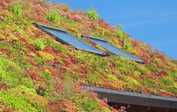 Symondsbury living roof systems