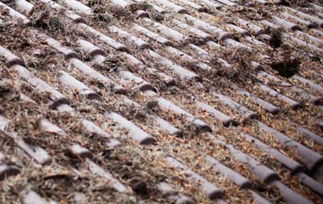 Symondsbury roof cleaning companies