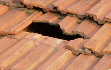 roof repair Symondsbury, Dorset