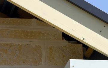 soffit repair Symondsbury