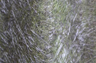 Symondsbury fibreglass roof work